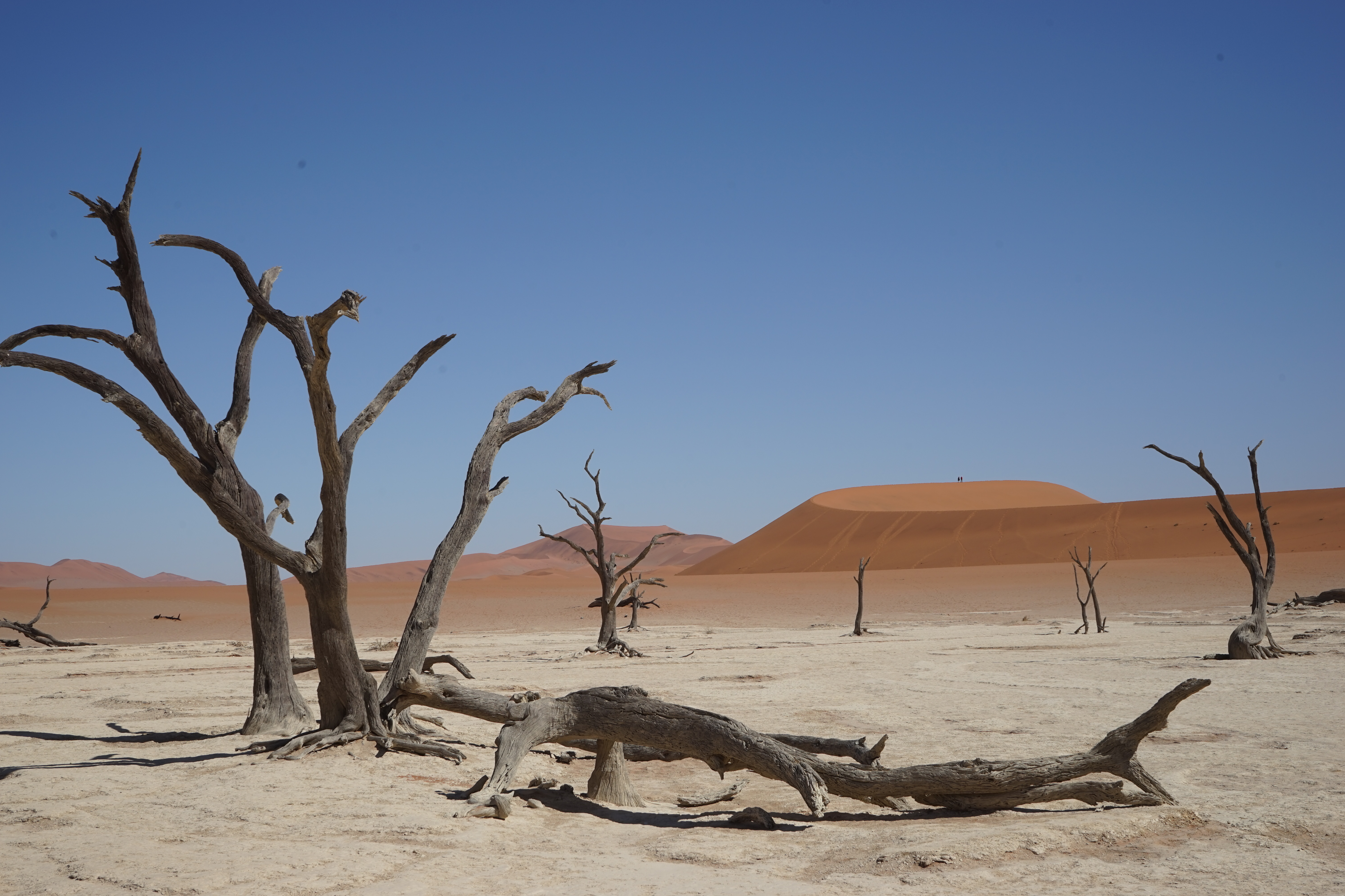 Camping in the Namibian desert at Sossusvlei