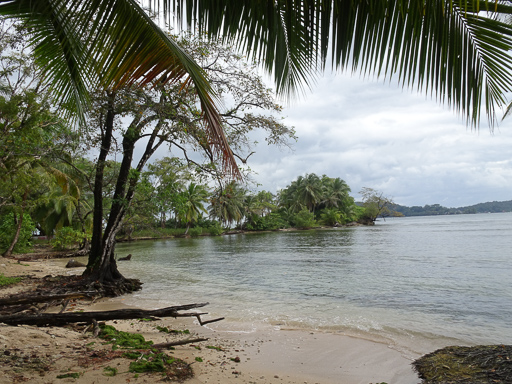 Bocas del Toro
