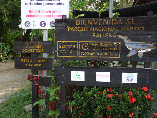Marina Ballena and Corcovado National Parks