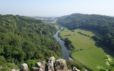 Staycation road trip – Forest of Dean