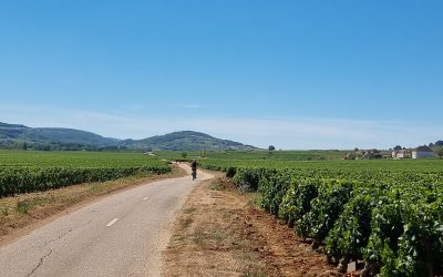 Auvergne & Burgundy
